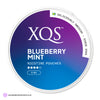 Blueberry Mint Nicotine Pouches by XQS 8MG